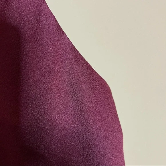 Shona Joy Luxe Cocktail Frill Dress Garnet Size 2 NEW - Picture 5 of 12